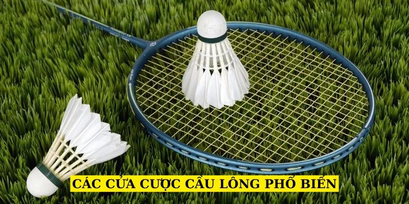 cac-cua-cuoc-cau-long-pho-bien