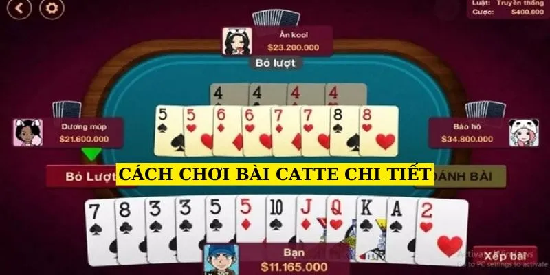 cach-choi-bai-catte-chi-tiet