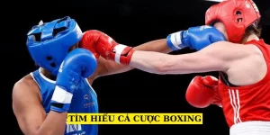tim-hieu-ca-cuoc-boxing