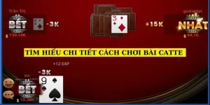 tim-hieu-chi-tiet-cach-choi-bai-catte