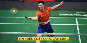 tim-hieu-luat-cuoc-cau-long