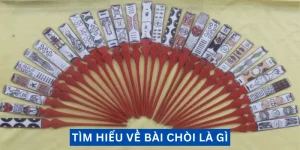 tim-hieu-ve-bai-choi-la-gi