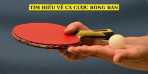 tim-hieu-ve-ca-cuoc-bong-ban